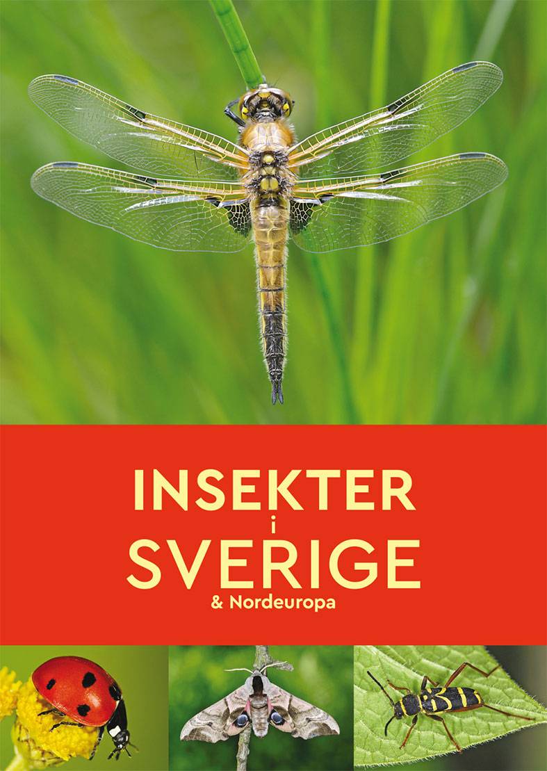 Insekter i Sverige & Nordeuropa