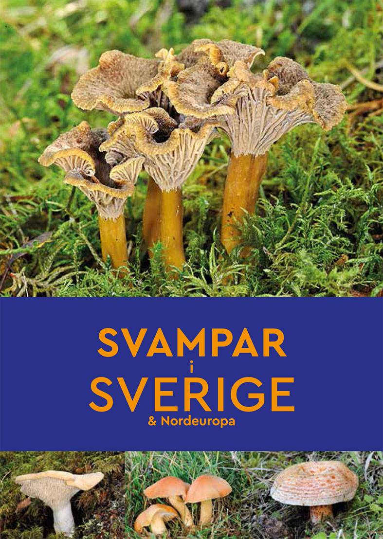 Svampar i Sverige & Nordeuropa