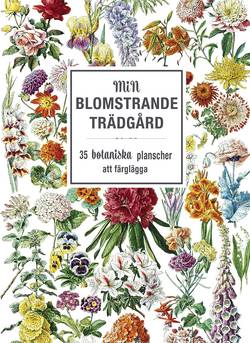 Min blomstrande trädgård: 35 botaniska planscher att färglägga