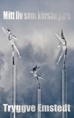 Mitt liv som körsångare : jakten på ett dreamteam