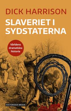 Slaveriet i Sydstaterna