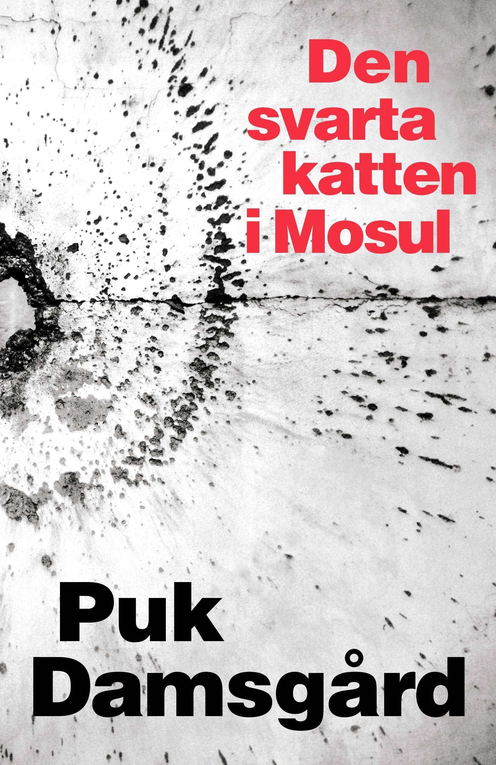 Den svarta katten i Mosul