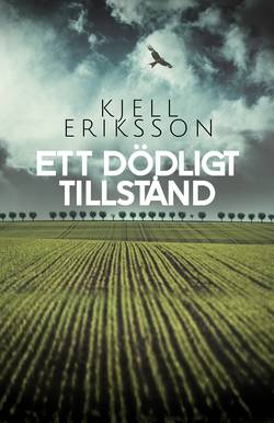 Ett dödligt tillstånd