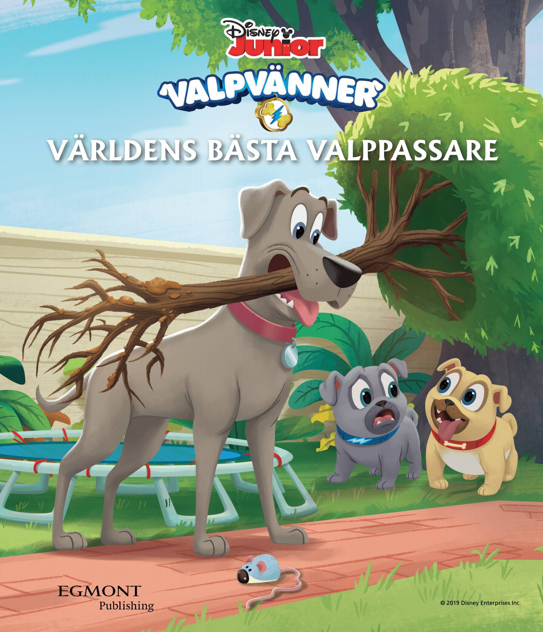 Valpvänner. Värdens bästa valppassare