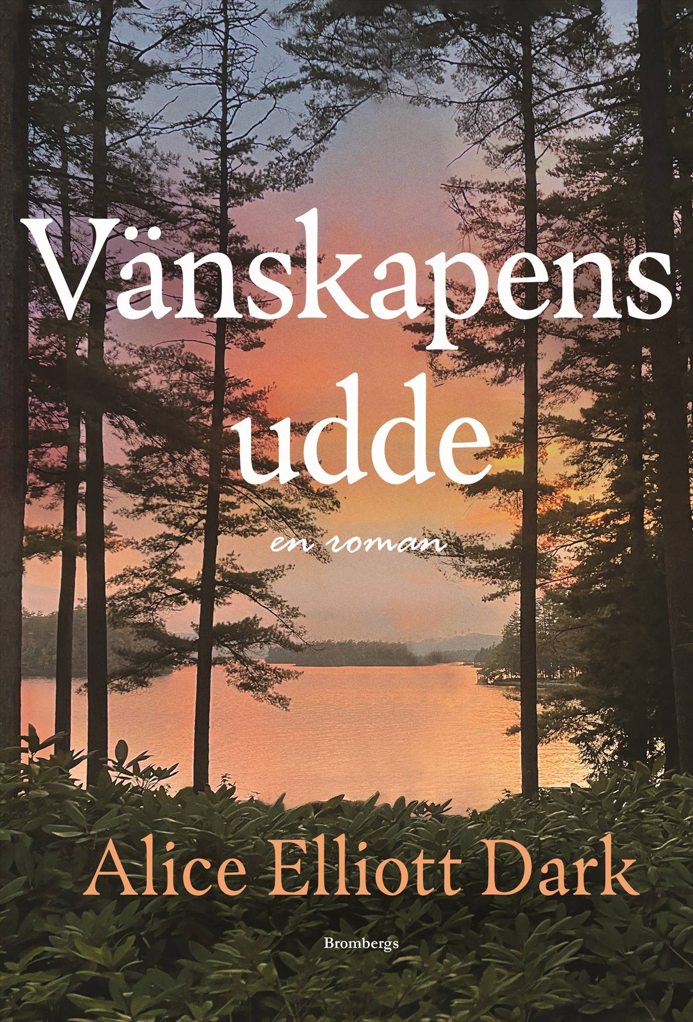 Vänskapens udde