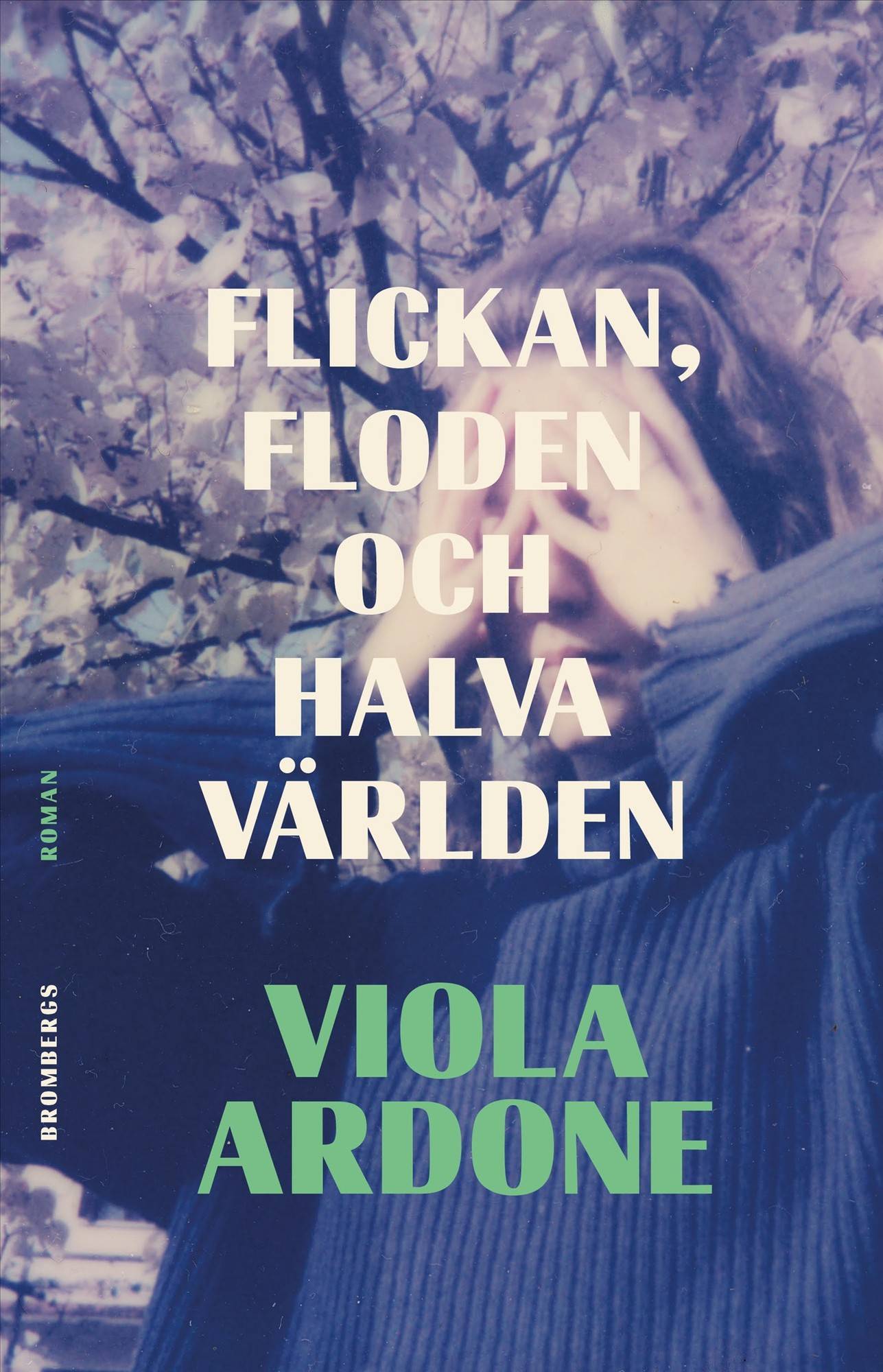 De förlorade kvinnorna