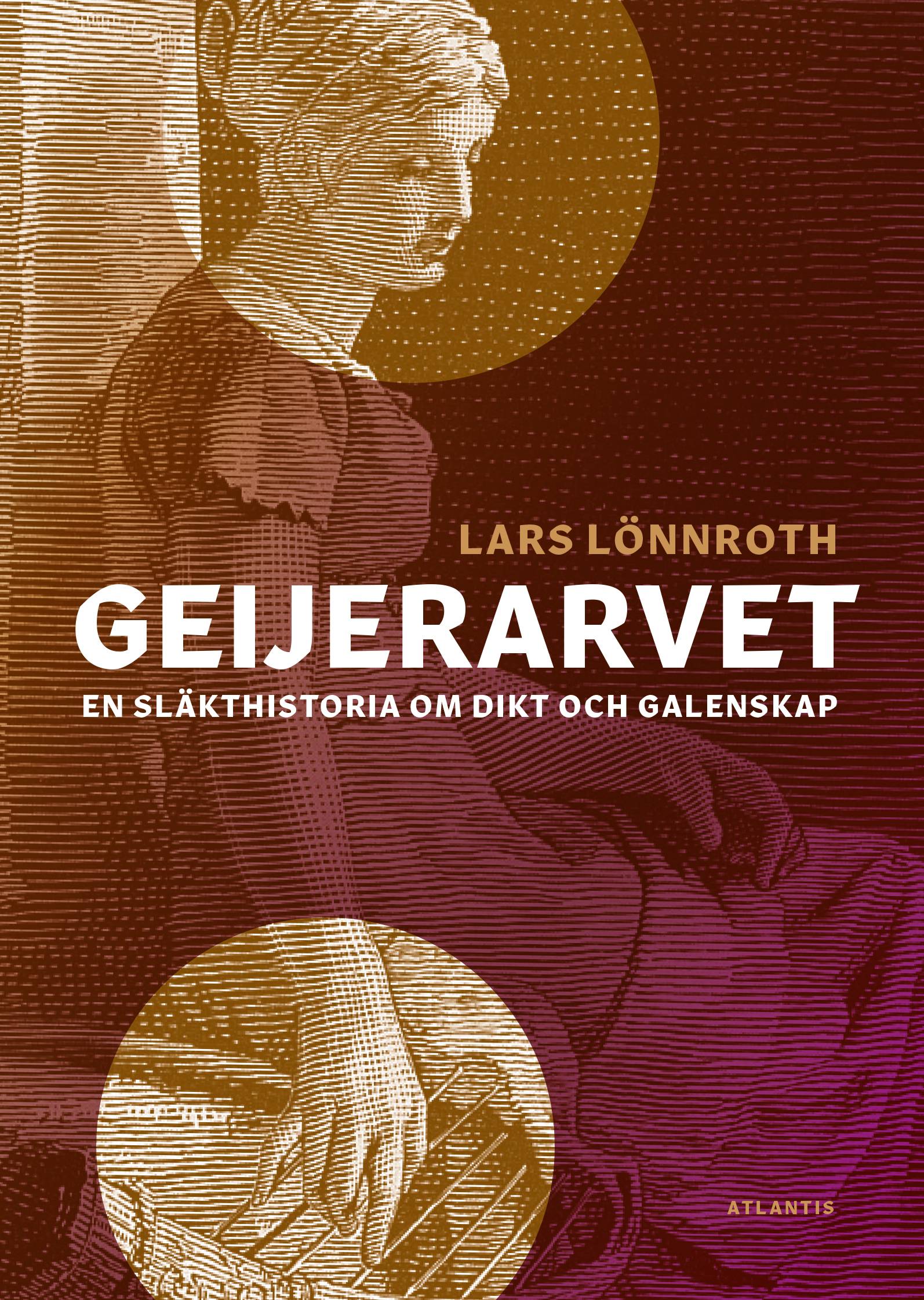 Geijerarvet : en släkthistoria om dikt och galenskap