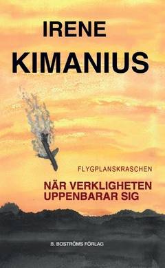 Flygplanskraschen : när verkligheten uppenbarar sig