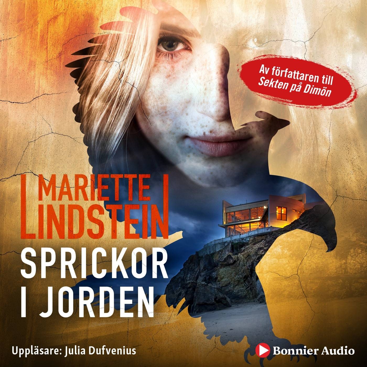 Sprickor i jorden