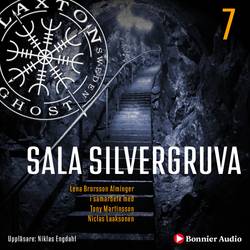 Sala silvergruva