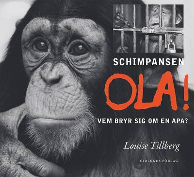 Schimpansen Ola! : vem bryr sig om en apa?
