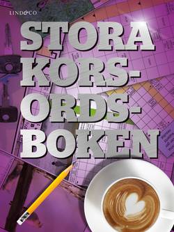 Stora korsordsboken