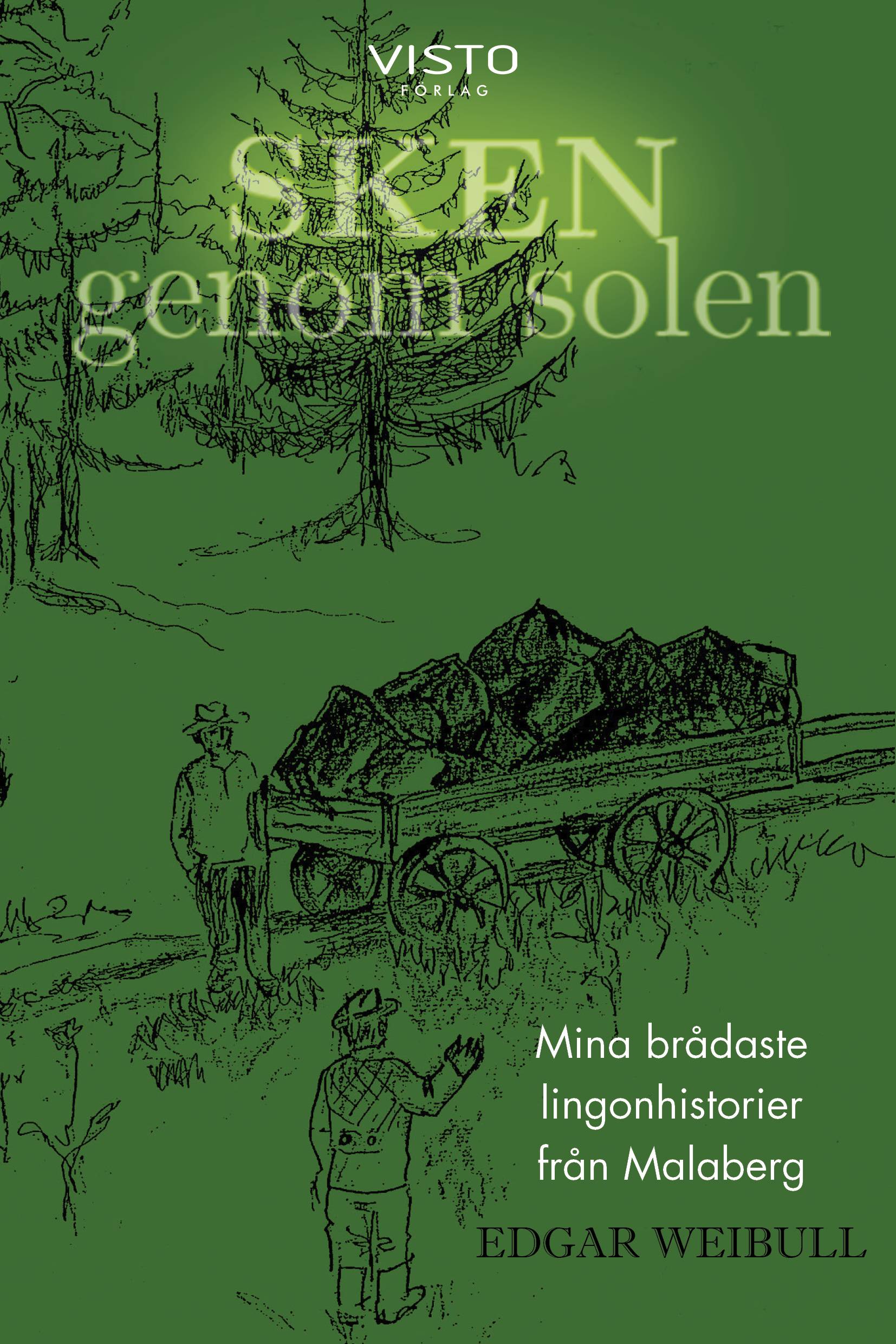Sken genom solen : mina brådaste lingonhistorier från Malaberg