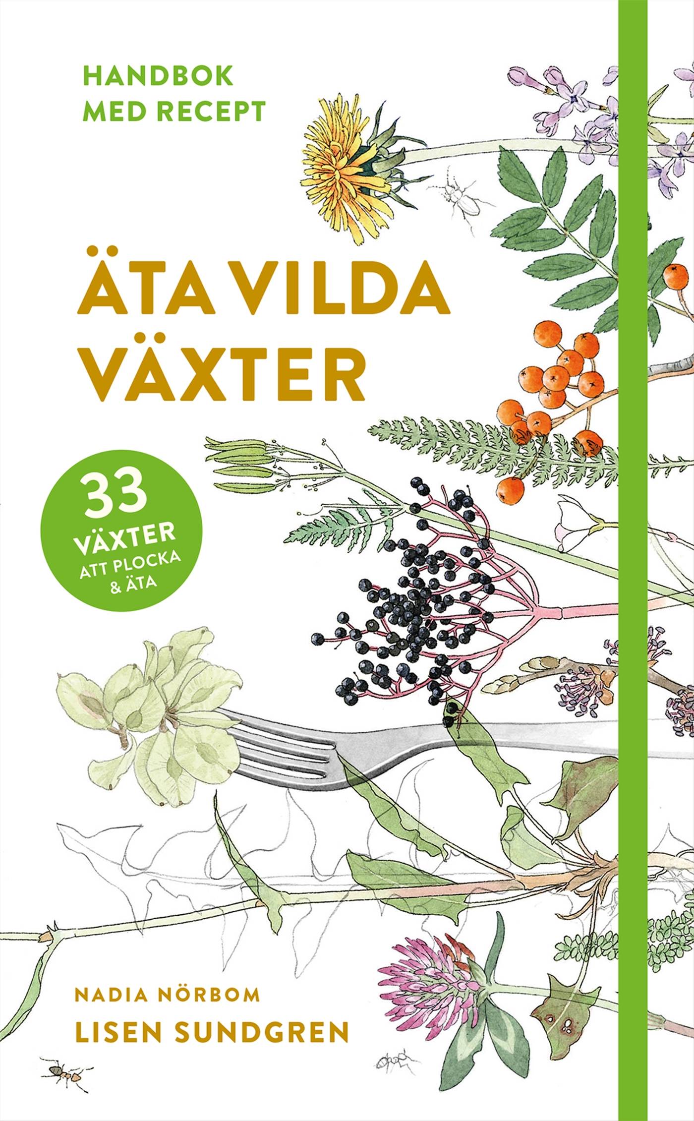 Äta vilda växter : 33 växter att plocka och äta