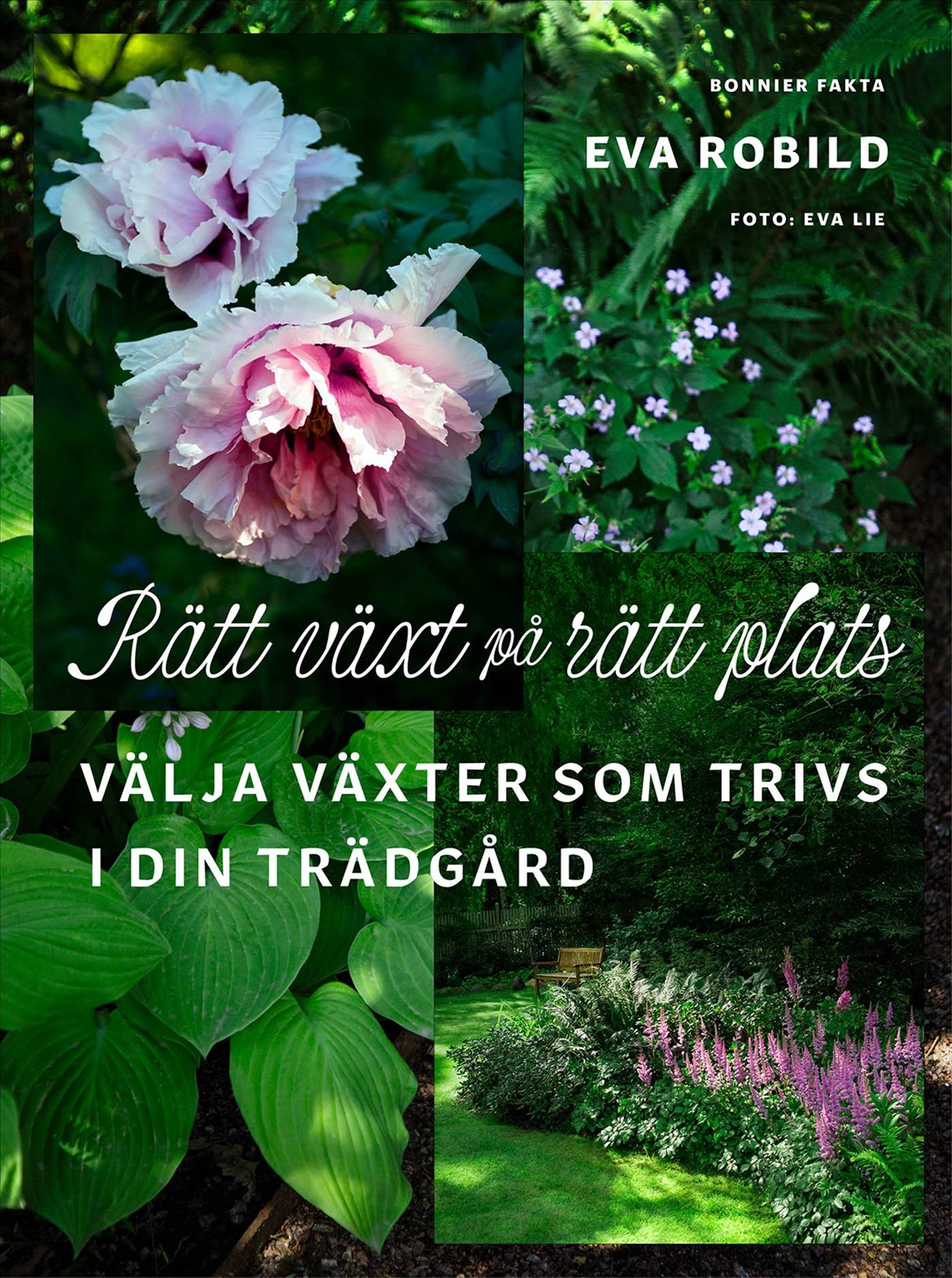 Rätt växt på rätt plats - välja växter som trivs i din trädgård