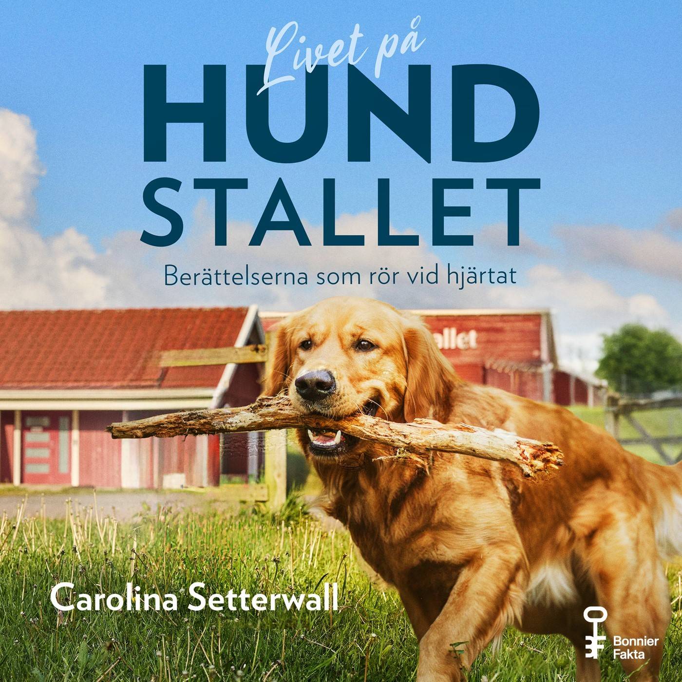 Livet på Hundstallet : berättelserna som rör vid hjärtat