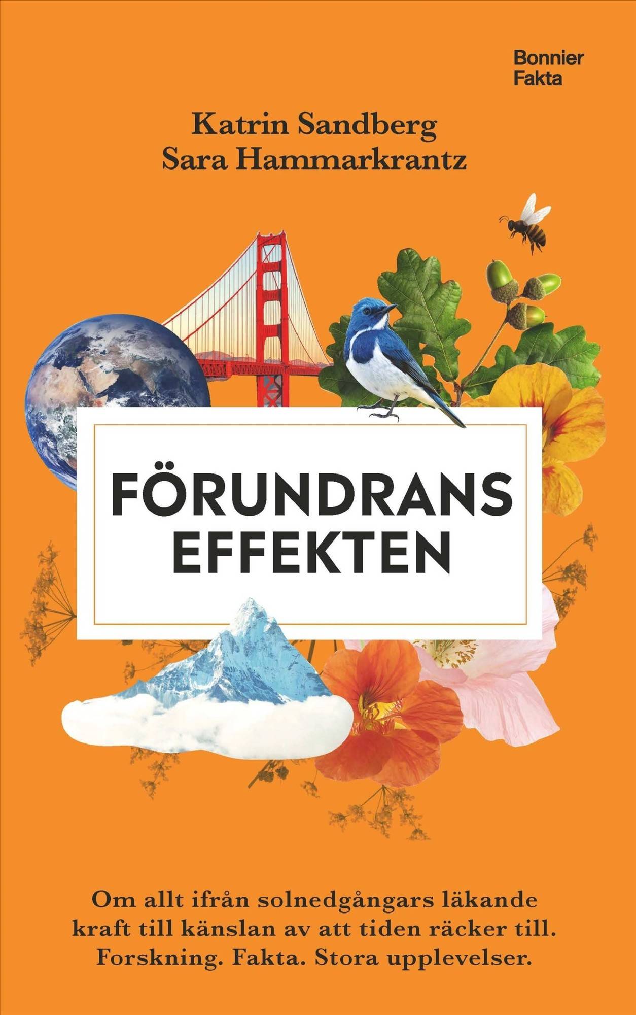 Förundranseffekten : Om allt ifrån solnedgångars läkande kraft till känslan av att tiden räcker till. Forskning, fakta och stora upplevelser.