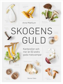 Skogens guld