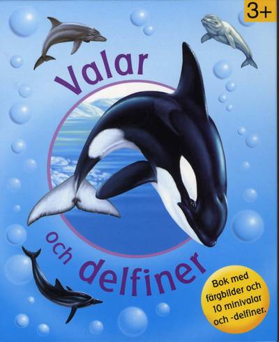Valar och Delfiner + box med fiskar