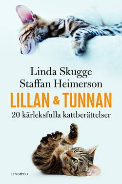 Lillan och Tunnan : 20 kärleksfulla kattberättelser