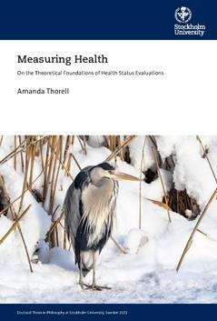 Measuring health : on the theoretical foundations of health status evaluations