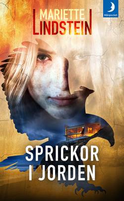 Sprickor i jorden