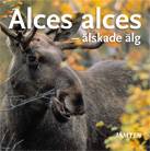 Alces alces : älskade älg