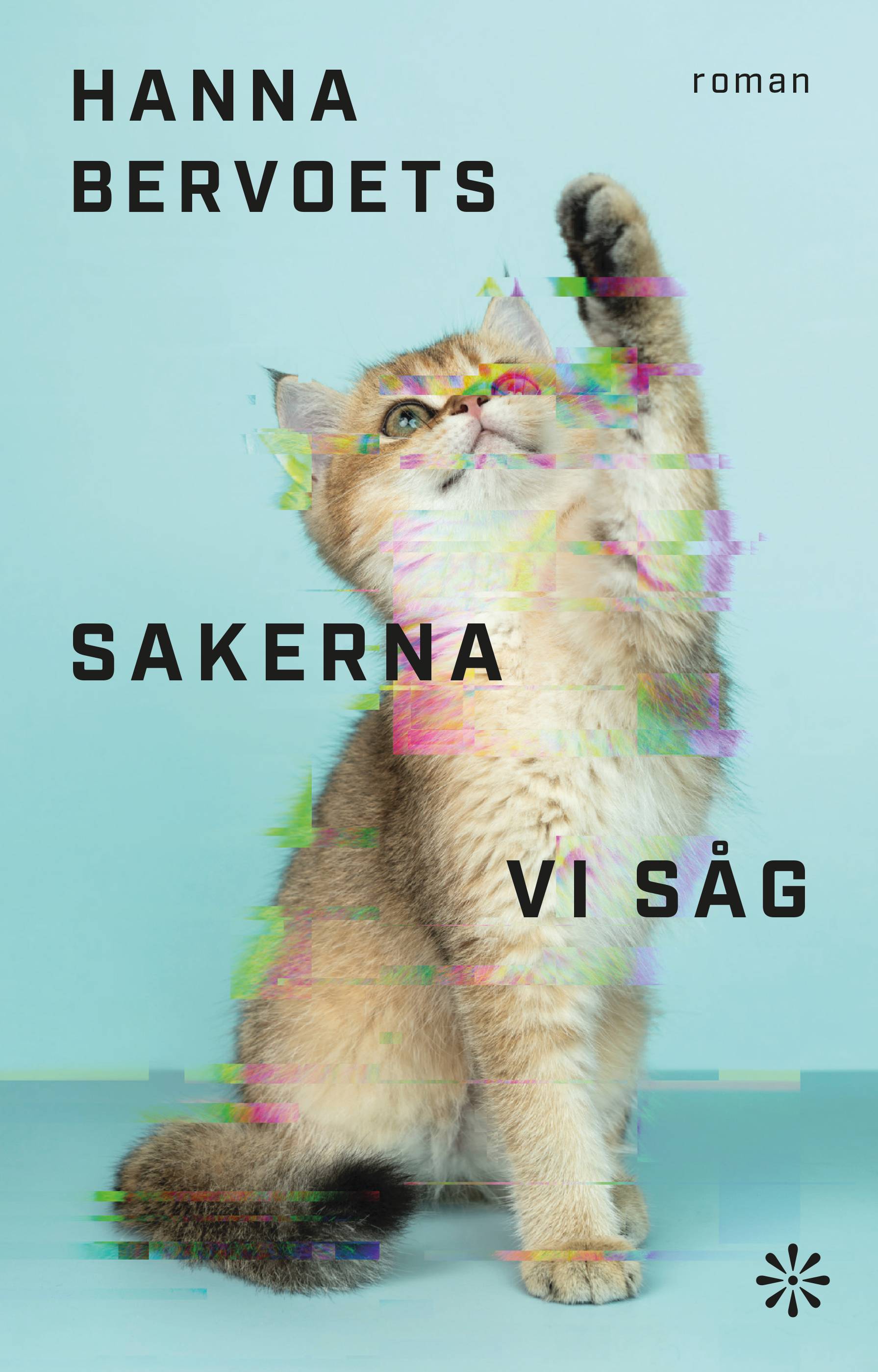 Sakerna vi såg