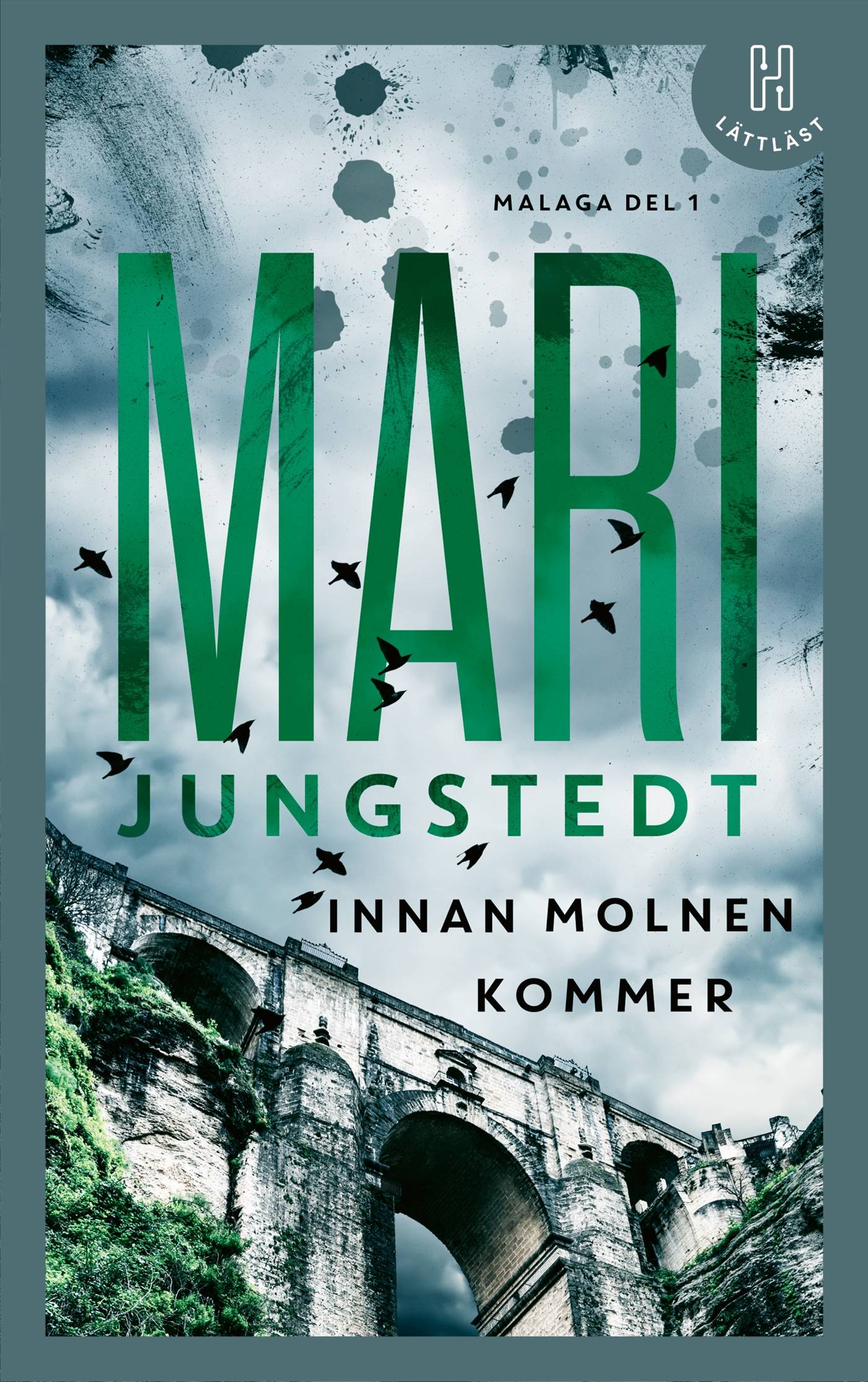 Innan molnen kommer (lättläst)