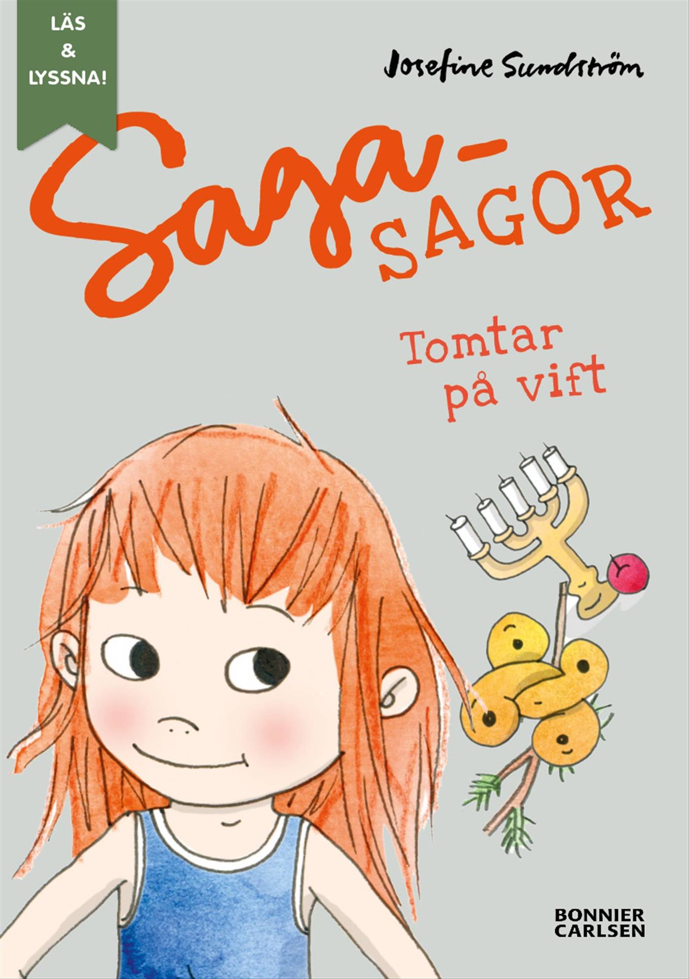 Tomtar på vift (e-bok + ljud)