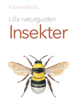 Lilla naturguiden: insekter