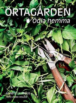 Örtagården - odla hemma