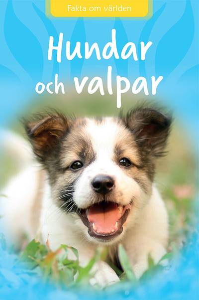 Hundar och valpar