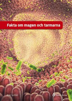 Fakta om magen och tarmarna