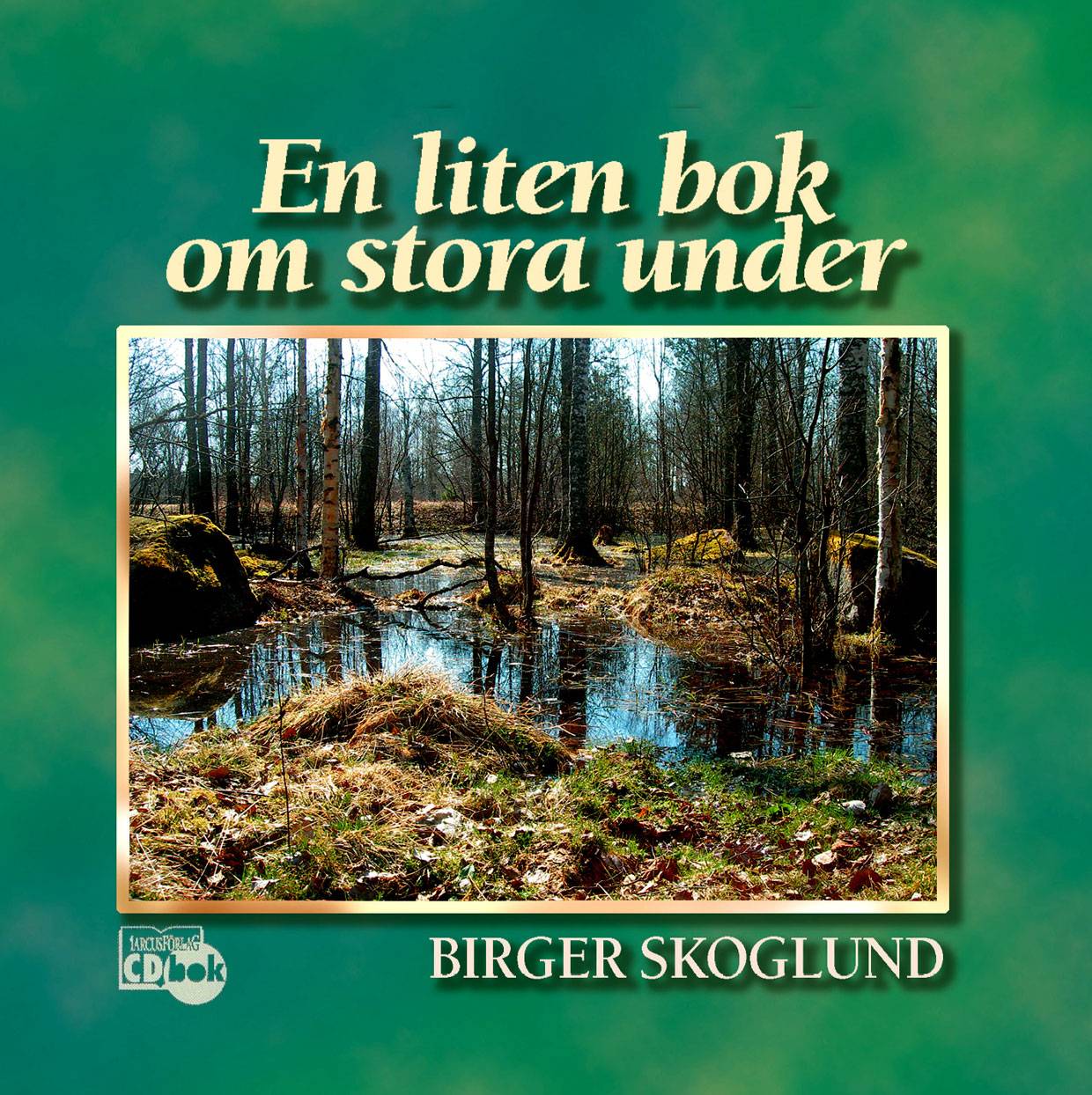 En liten bok om stora under