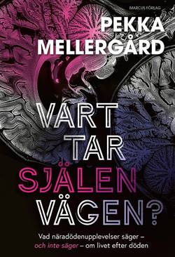 Vart tar själen vägen? : Vad näradödenupplevelser säger – och inte säger – om livet efter döden