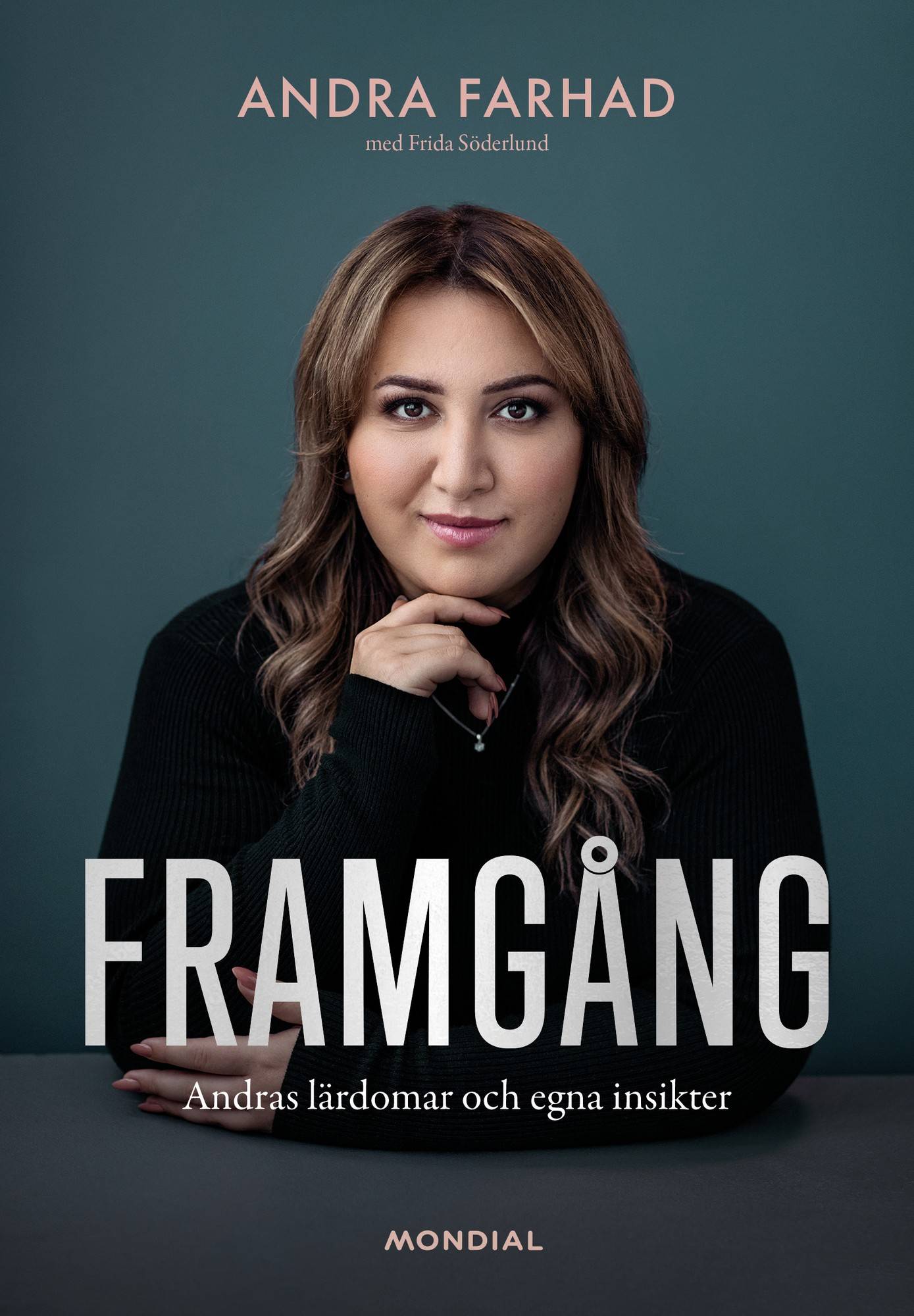 Framgång : andras lärdomar och egna insikter