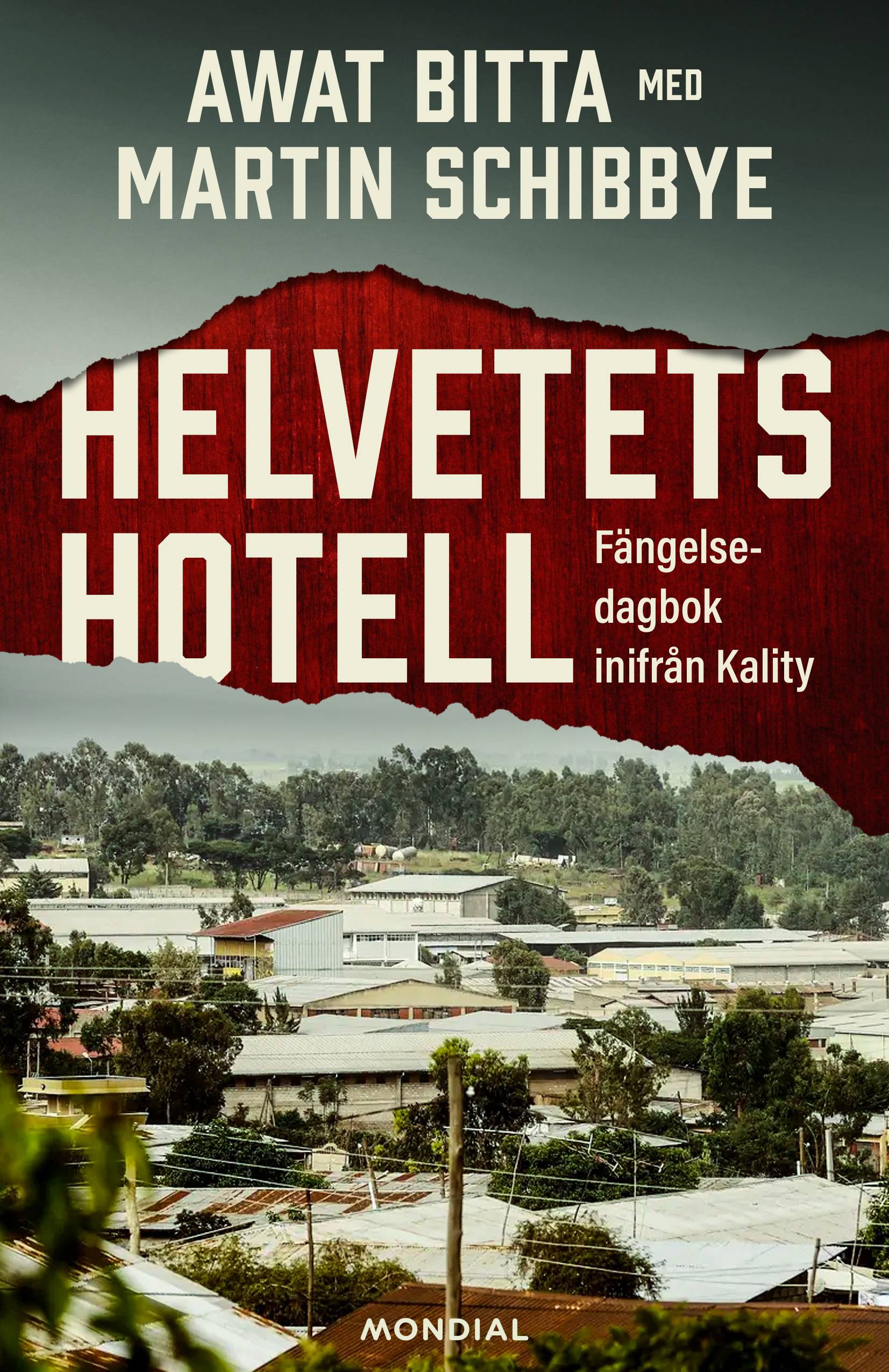 Helvetets hotell : fängelsedagbok inifrån Kality