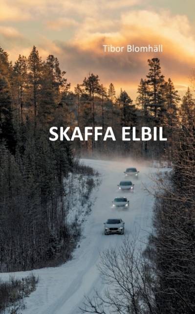 Skaffa elbil : allt du ville veta om elbilar men varit för blyg för att fråga