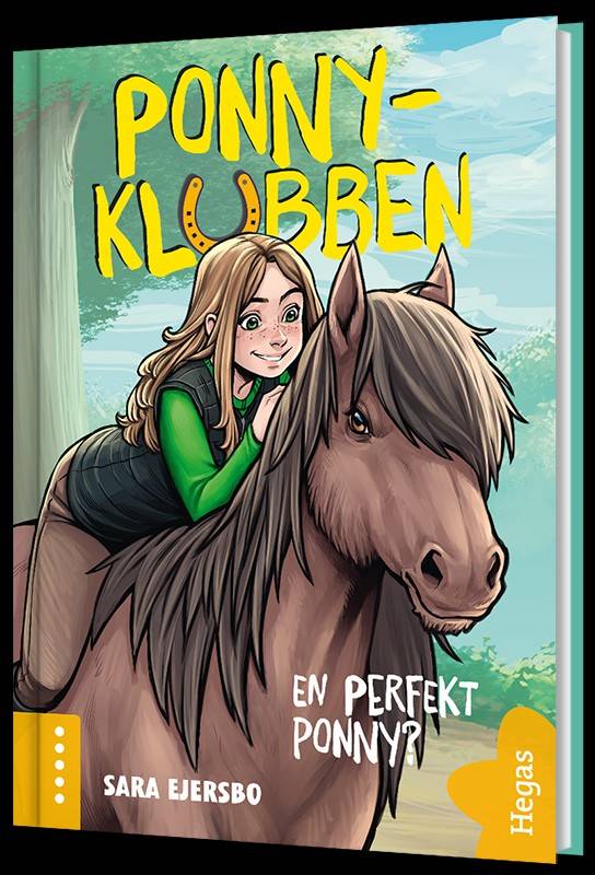 En perfekt ponny?