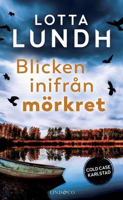 Blicken inifrån mörkret