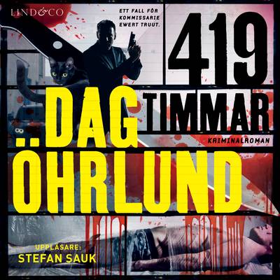 419 timmar