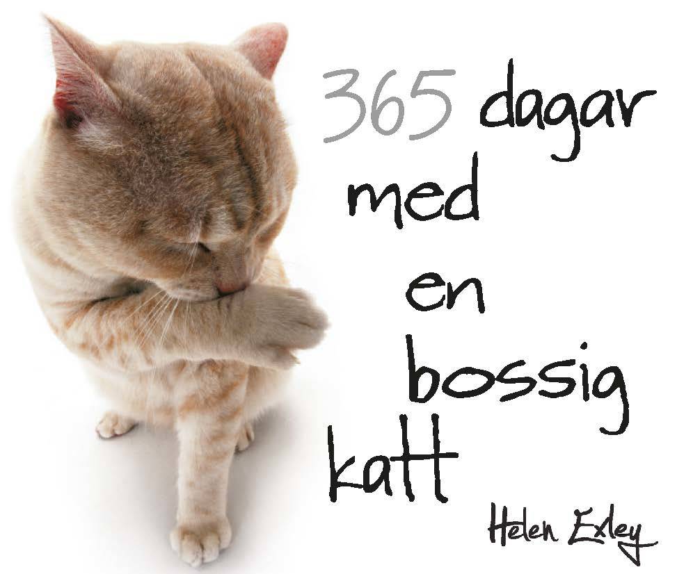 365 dagar med en bossig katt