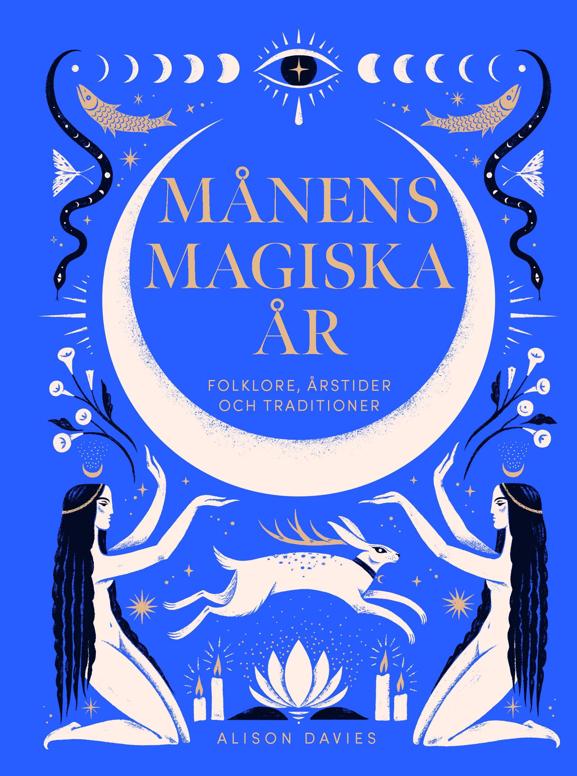 Månens magiska år : folklore, årstider och traditioner