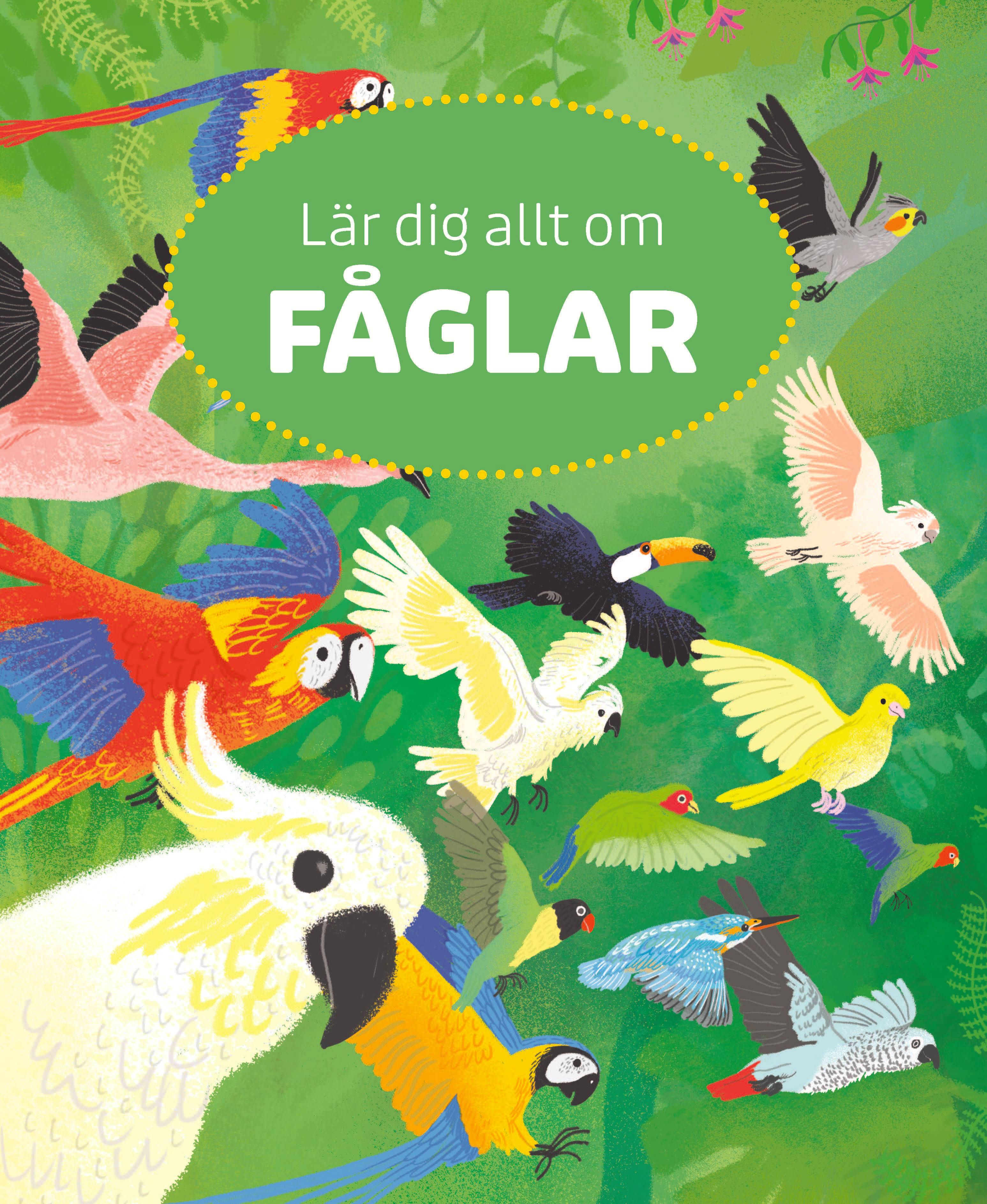 Lär dig allt om fåglar (Läs & lyssna)