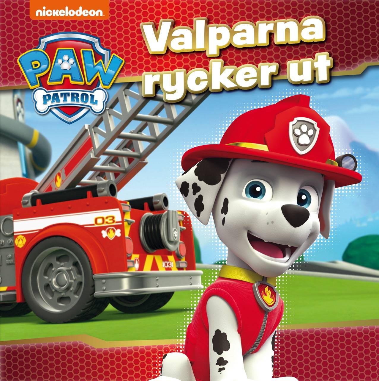 Valparna rycker ut