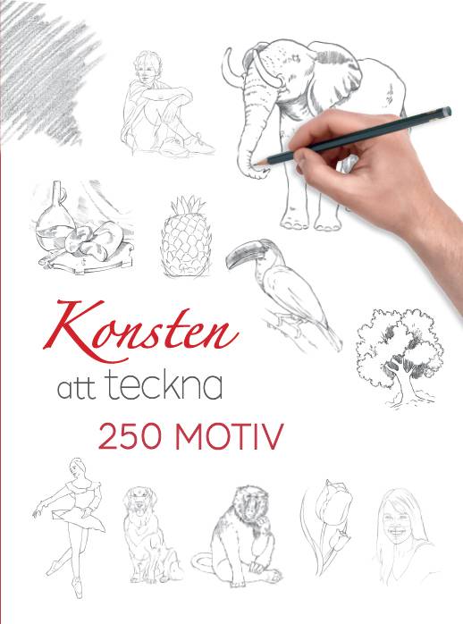 Konsten att teckna : 250 motiv