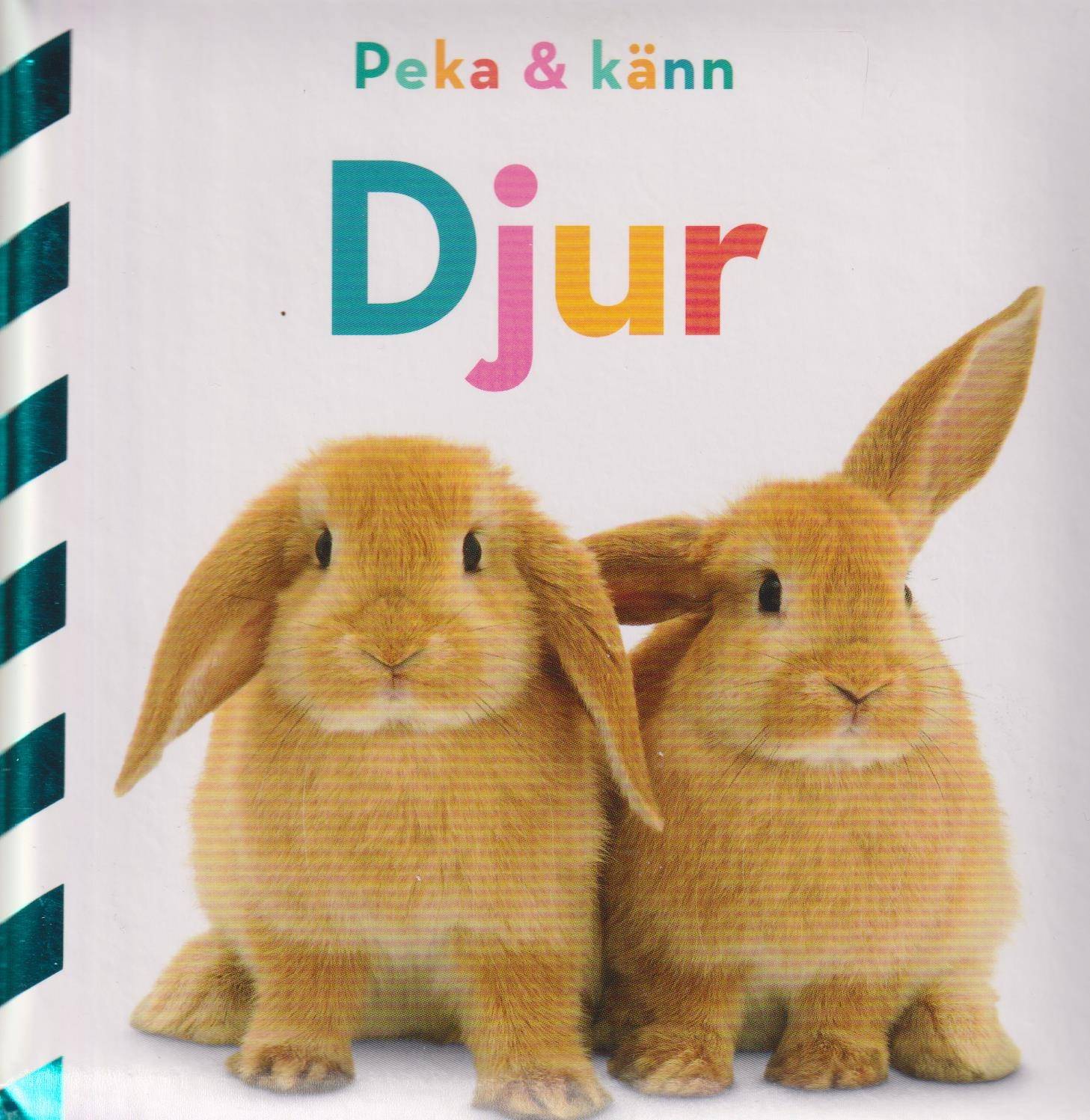 Peka och känn : Djur