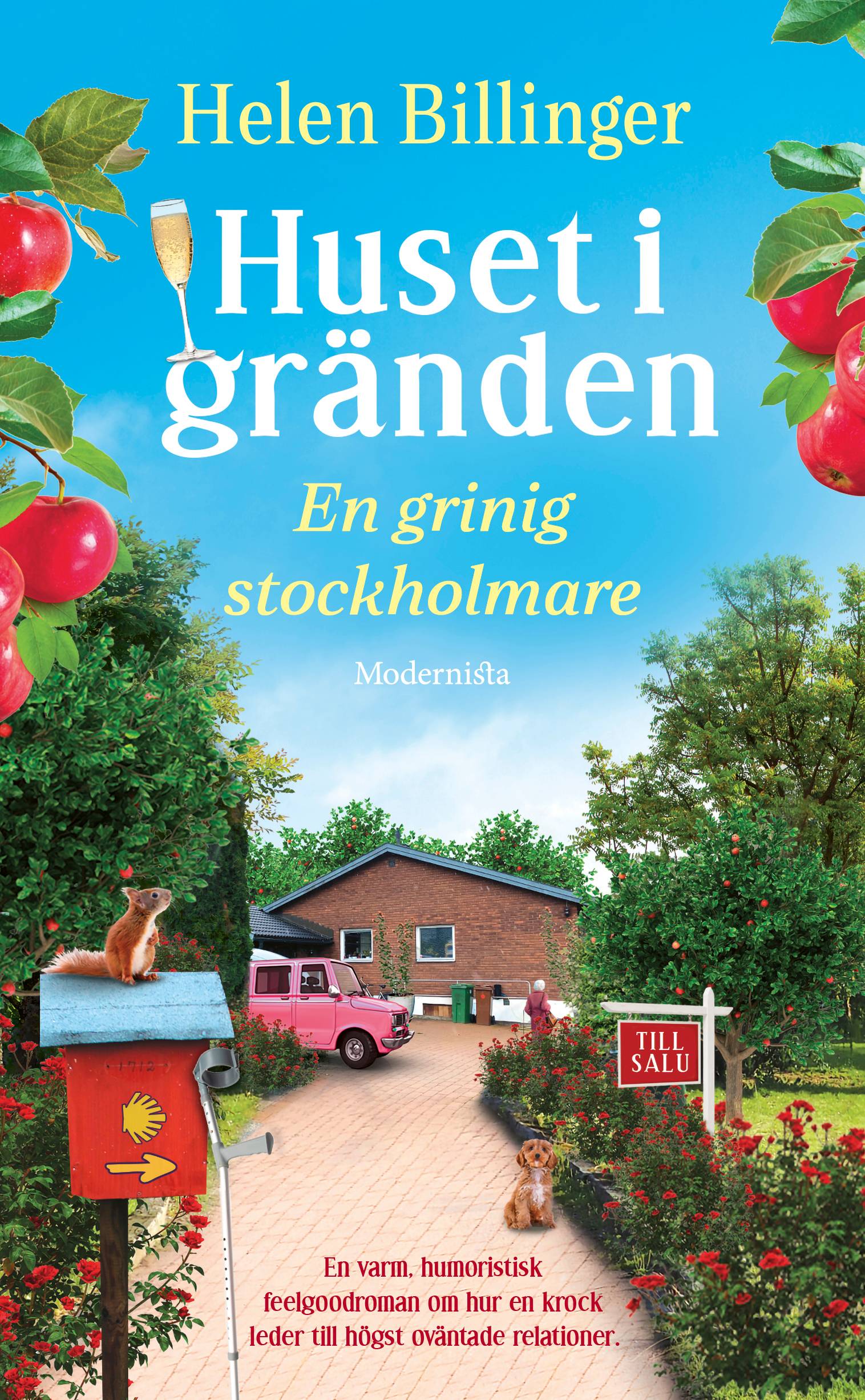 Huset i gränden : en grinig stockholmare