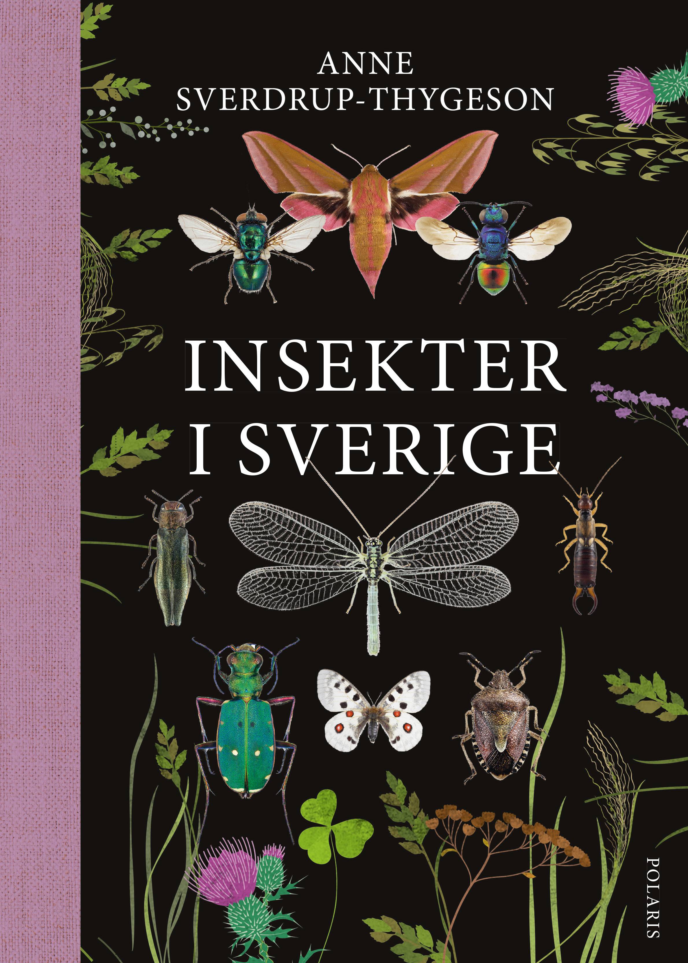 Insekter i Sverige